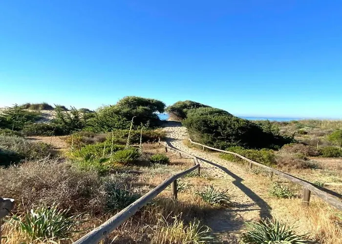 100m From マルベーリャ